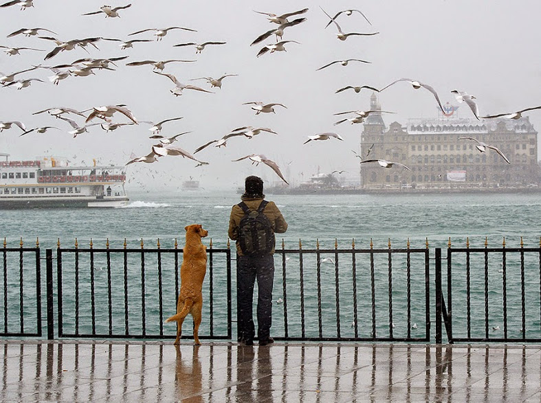 haydarpashaistanbul