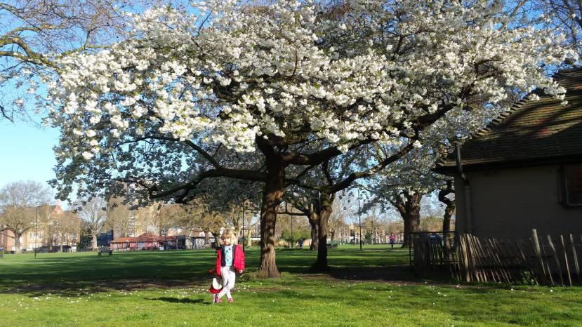 13412060_10210358251741442_3582901561225920193_o